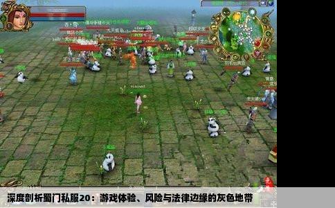 深度剖析蜀门私服20：游戏体验、风险与法律边缘的灰色地带