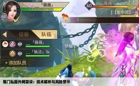 蜀门私服外网架设：技术解析与风险警示