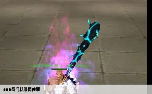 566蜀门私服网往事