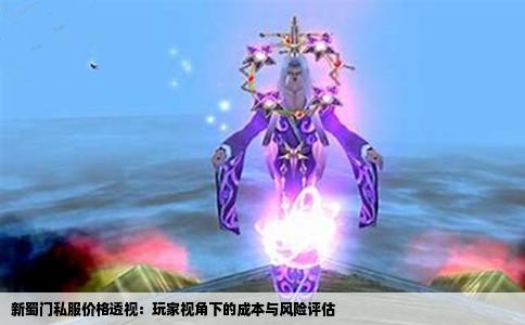 新蜀门私服价格透视：玩家视角下的成本与风险评估