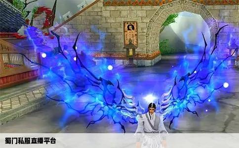 蜀门私服直播平台