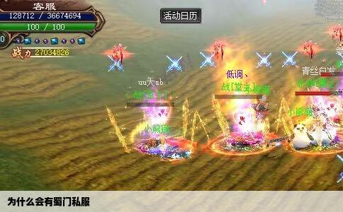 为什么会有蜀门私服