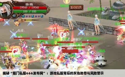 揭秘“蜀门私服666发布网”：游戏私服背后的灰色地带与风险警示