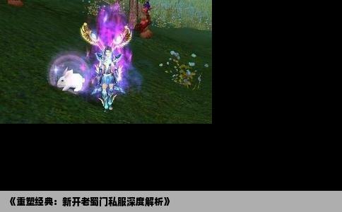 《重塑经典：新开老蜀门私服深度解析》