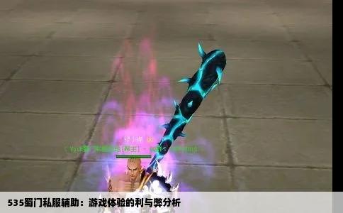 535蜀门私服辅助：游戏体验的利与弊分析