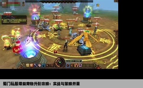 蜀门私服增益宠物升阶攻略：实战与策略并重