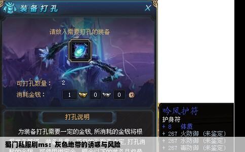 蜀门私服刷ms：灰色地带的诱惑与风险