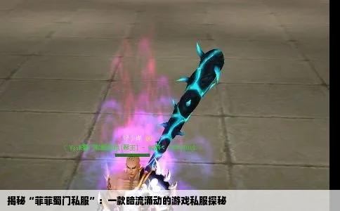 揭秘“菲菲蜀门私服”：一款暗流涌动的游戏私服探秘